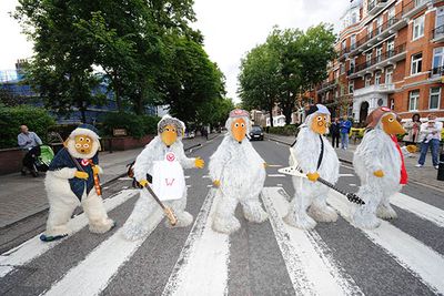 The Wombles crossing Abbey Road