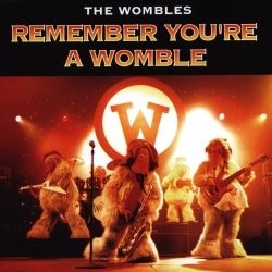 Remember Youre A Womble