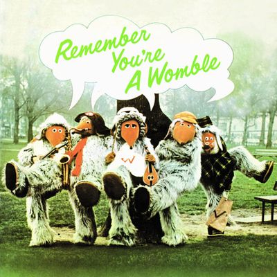 Remember You're A Womble CD