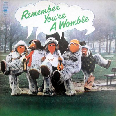 Remember You're A Womble LP