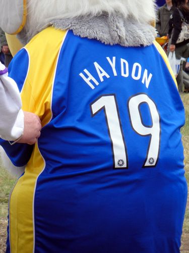 Back of Haydon the Womble's football shirt